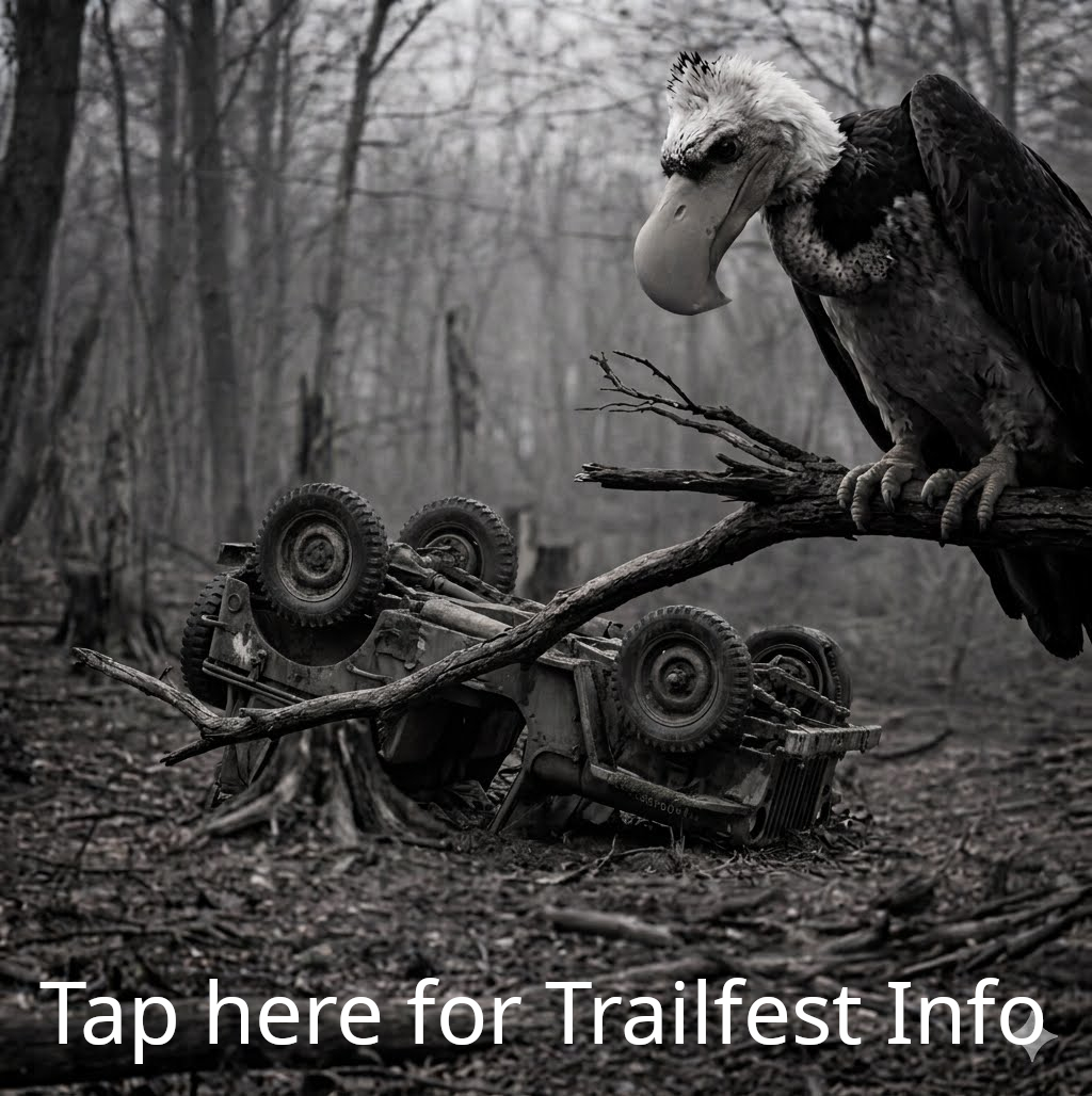 tf logo